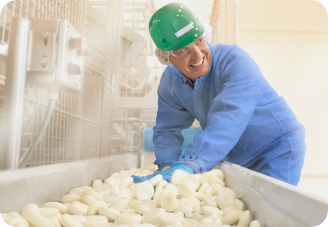 Factory worker in blue shirt smiling and handling Babybel cheese on the production line.
